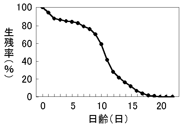 図２