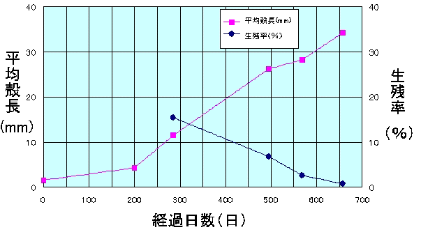 図２