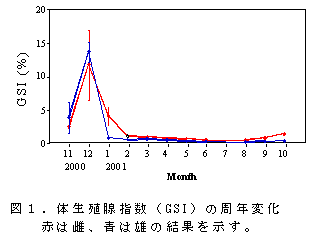 図１