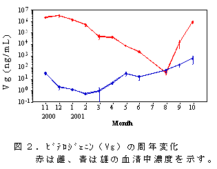 図２