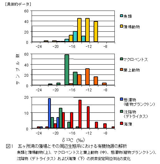 図１