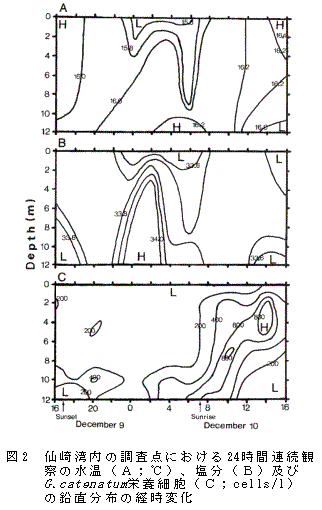 図２