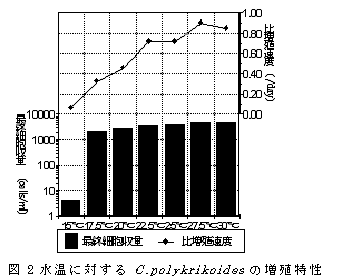 図２