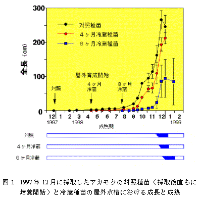 図１