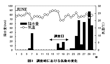 図３