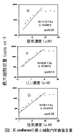 図２