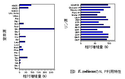 図３