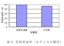 図２