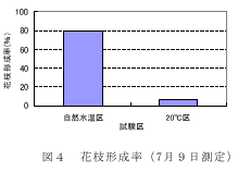 図４