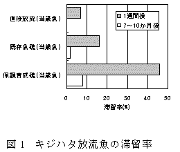 図１