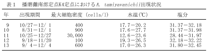 表１