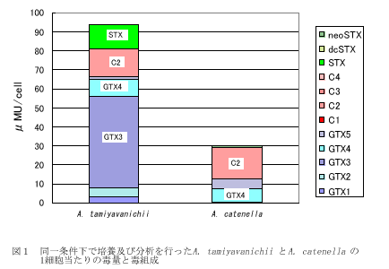 図１