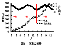 図１