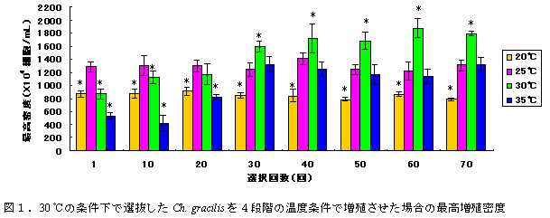 図１