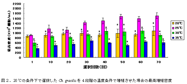 図２