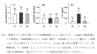 図２