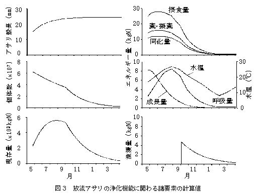 図３