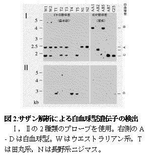 図２