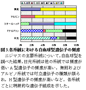 図３