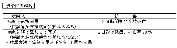 表１