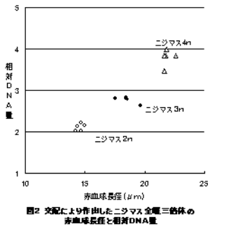 図２