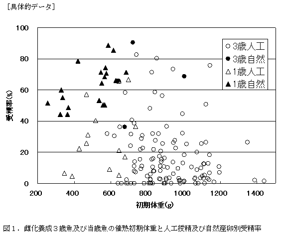 図１