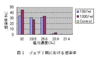 図１