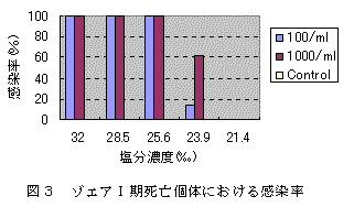 図３