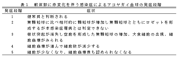 表１