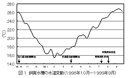 図１