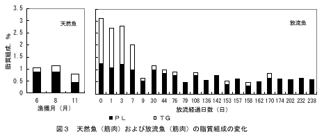 図３