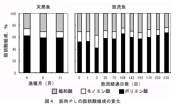 図４