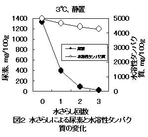 図２