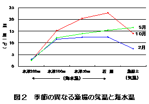 図２