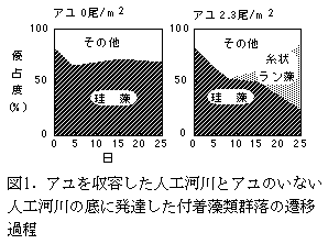 図１