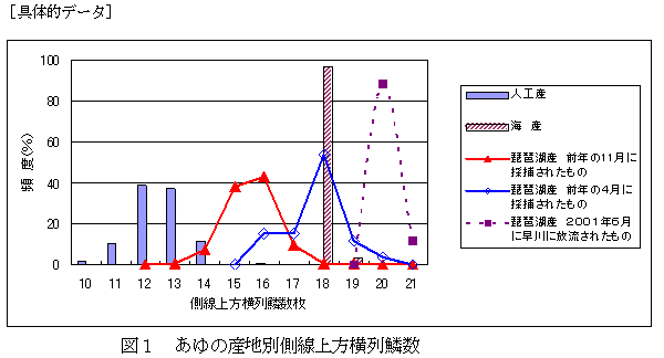 図１