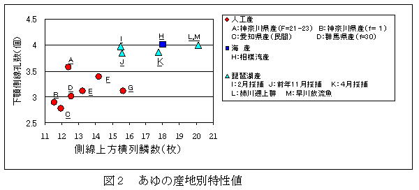 図２