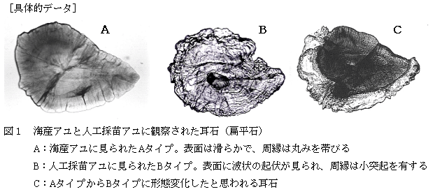 図１