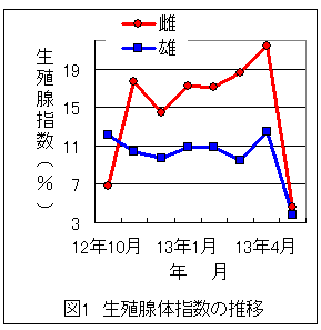 図１