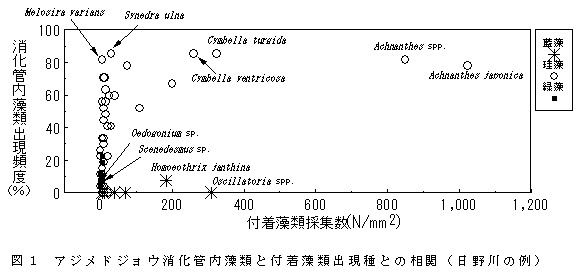 図１