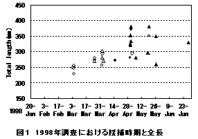 図１