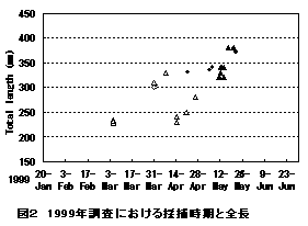 図２