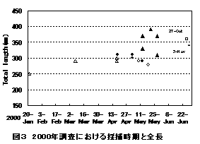 図３