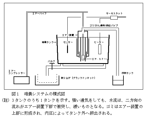 図１