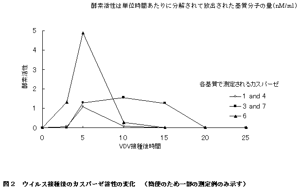 図３