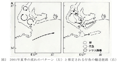 図２