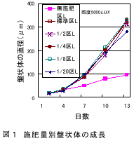 図１