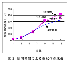 図２