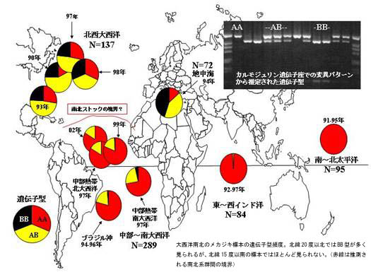 図１