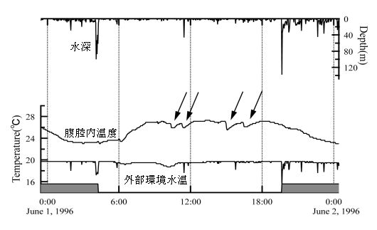 図１